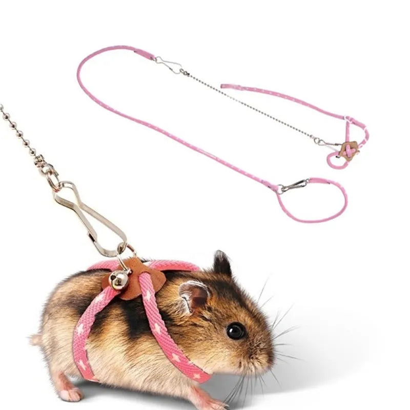 Small Animal Harness & Leash