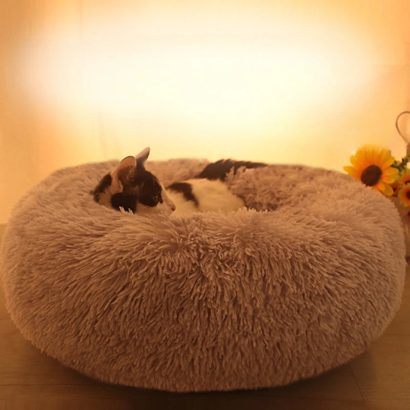 Fluffy Donut Pet Bed