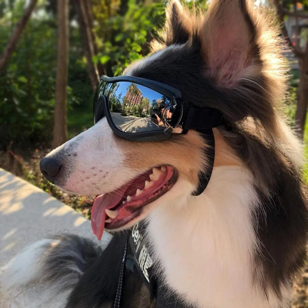 Adjustable Pet Dog Goggles/Sunglasses