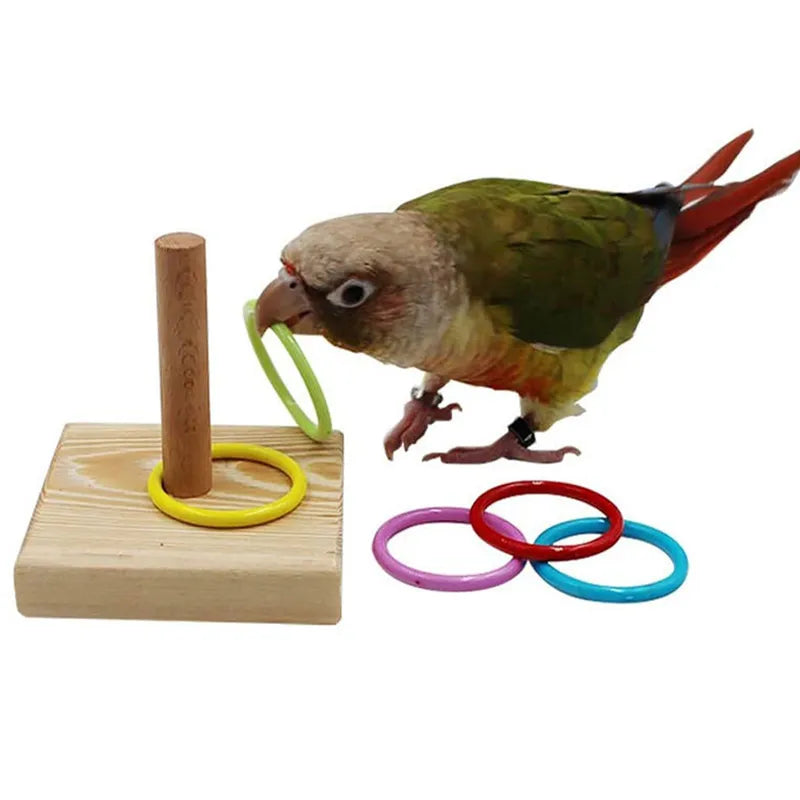 Bird Intelligence Training Rings