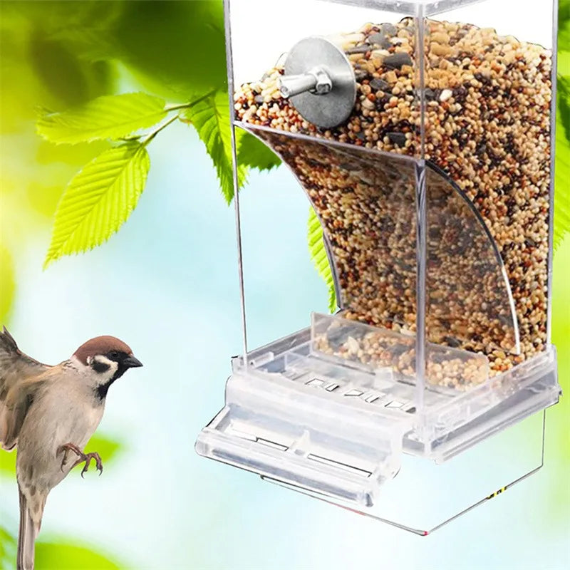 Non-Messy Automatic Bird Feeders