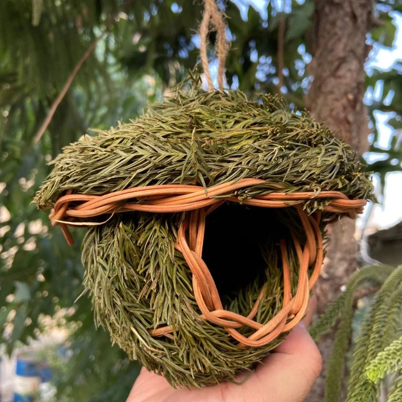 Hanging Natural Birds Nest