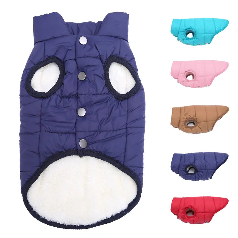 Holapet Gilet