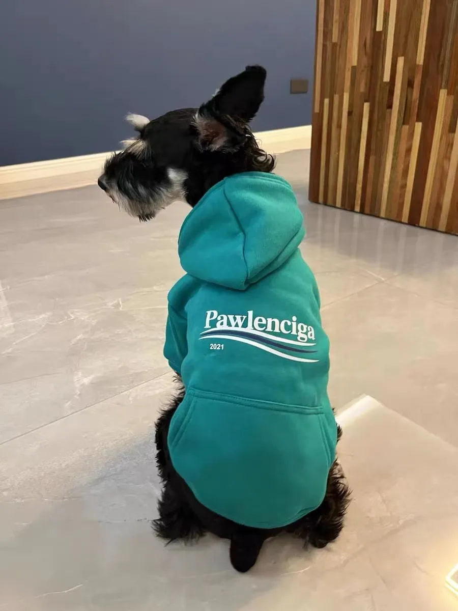 Pawlenciaga Hoodie