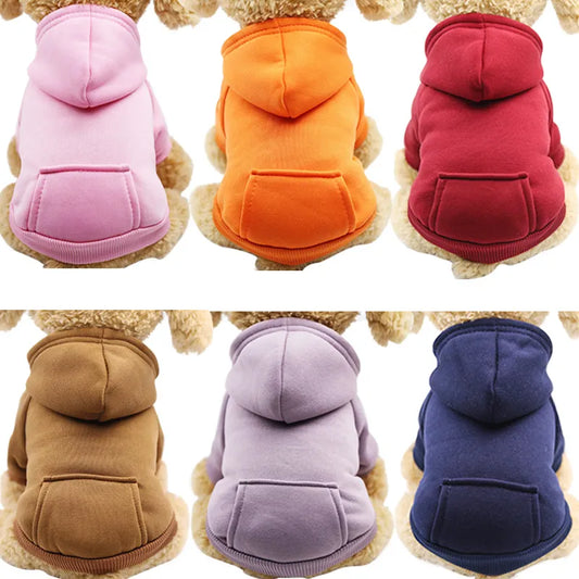 Colourful Pet Hoodie