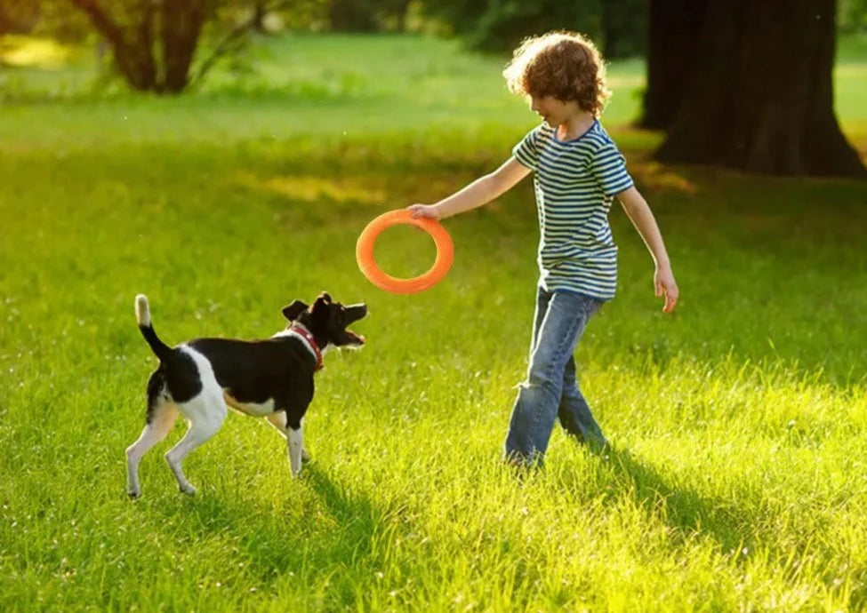 Orange Flying Ring Dogs Toy