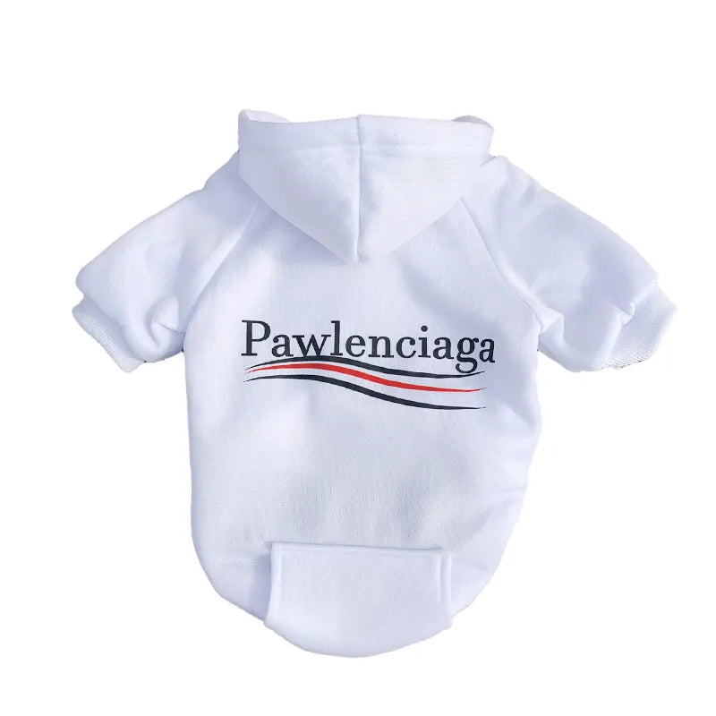 Pawlenciaga Hoodie