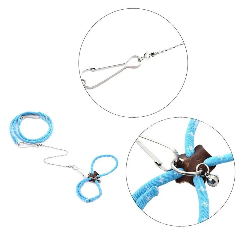 Small Animal Harness & Leash