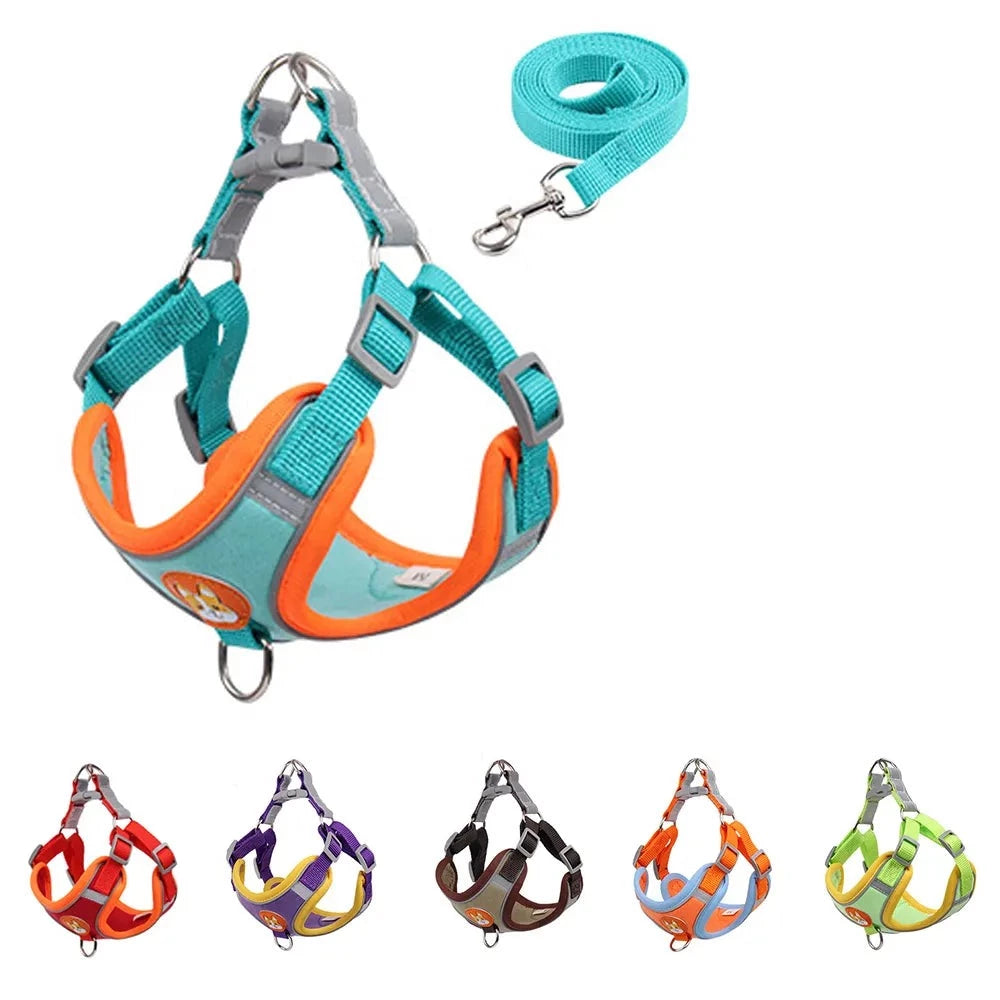 1.5m Dog Harness & Leash Set