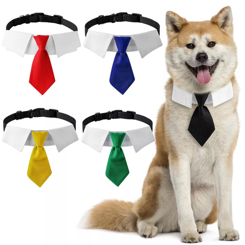 Adjustable Dog Neck-Tie/Collar