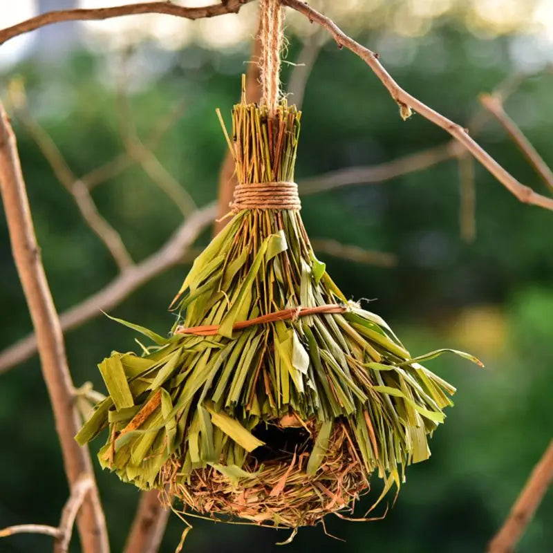 Hanging Natural Birds Nest