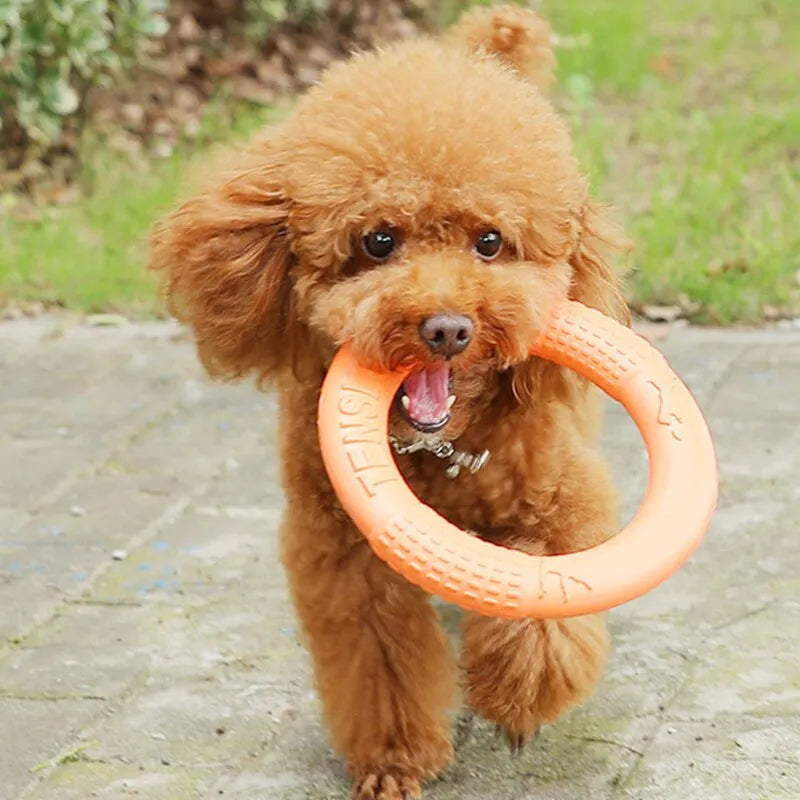 Orange Flying Ring Dogs Toy