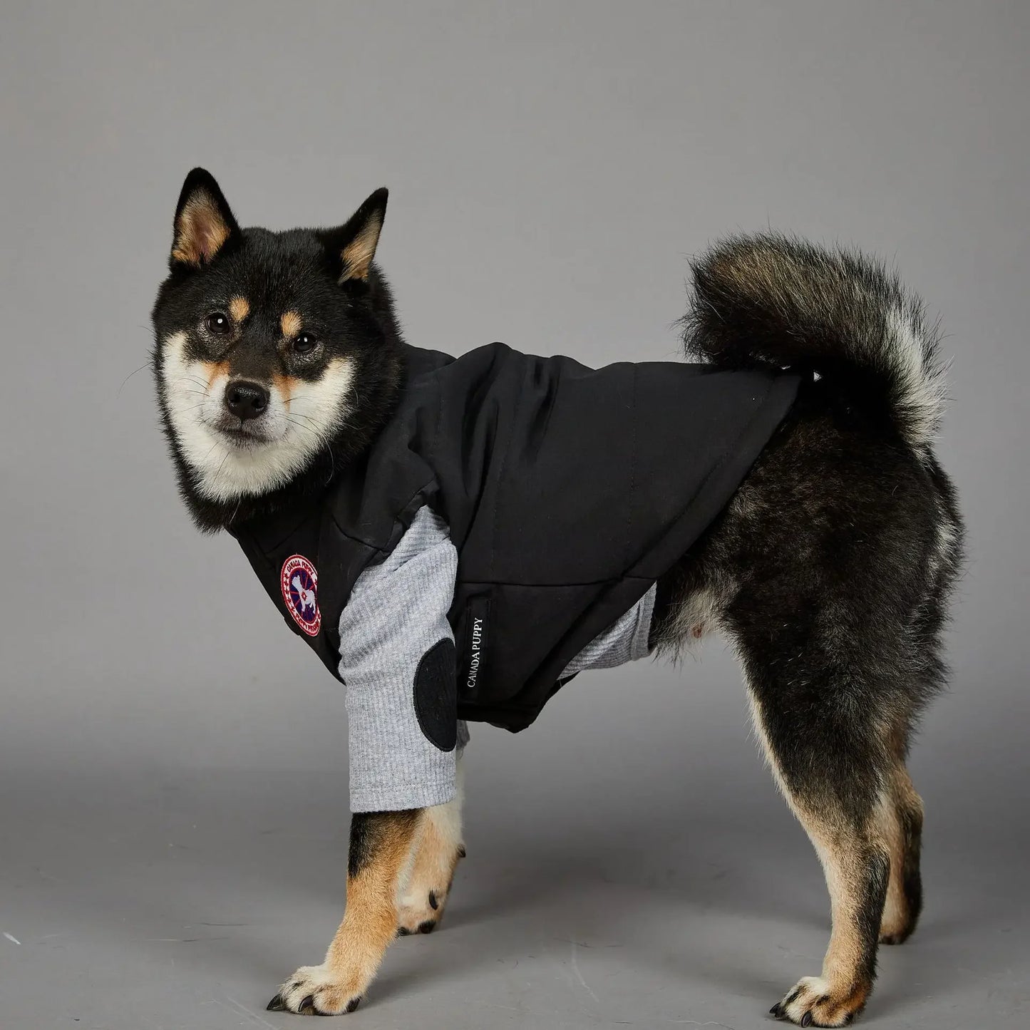 Canada Pooch Gilet