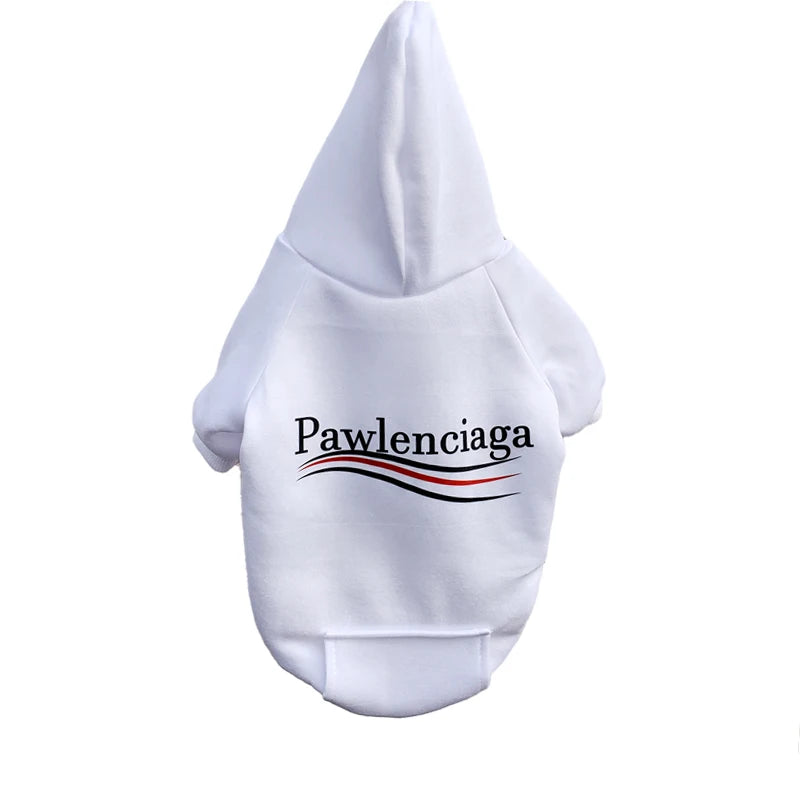 Pawlenciaga Hoodie