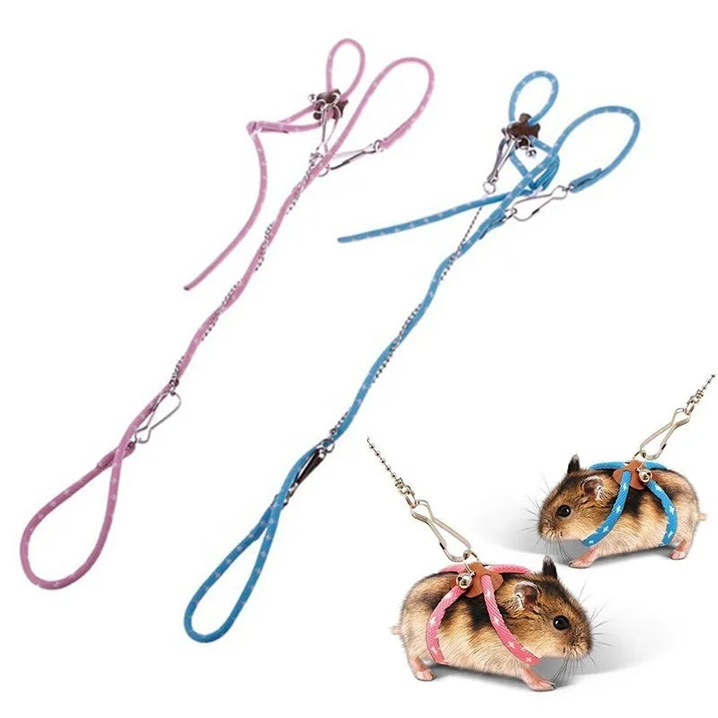 Small Animal Harness & Leash