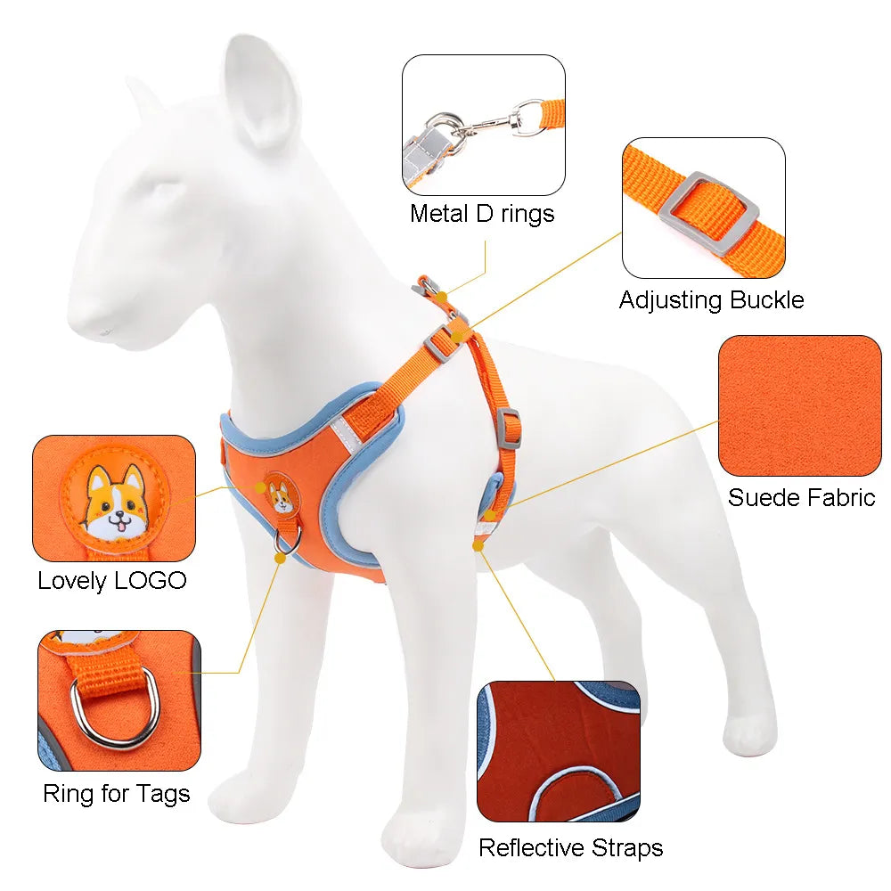 1.5m Dog Harness & Leash Set