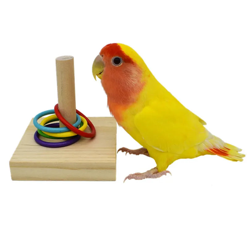 Bird Intelligence Training Rings