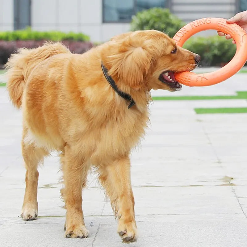 Orange Flying Ring Dogs Toy