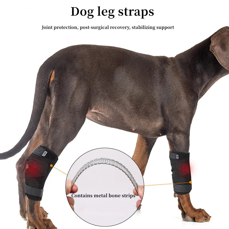 Support Dog Bandage