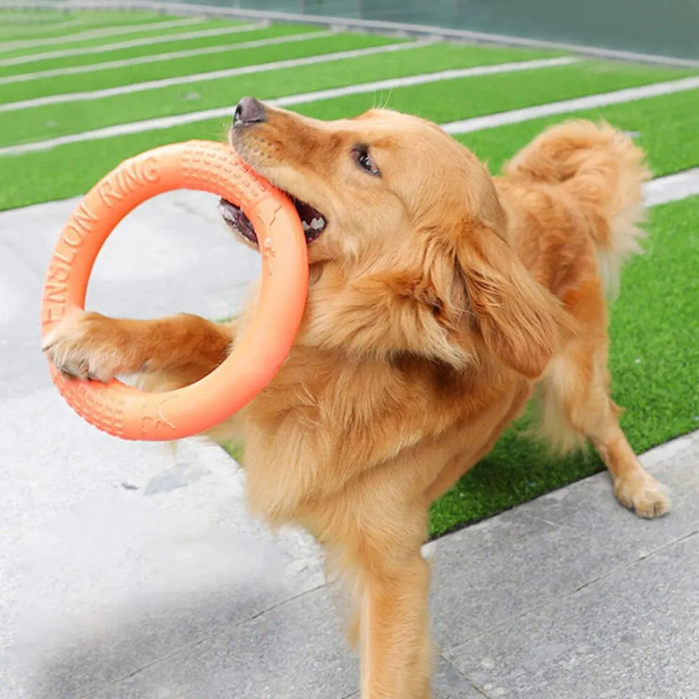 Orange Flying Ring Dogs Toy