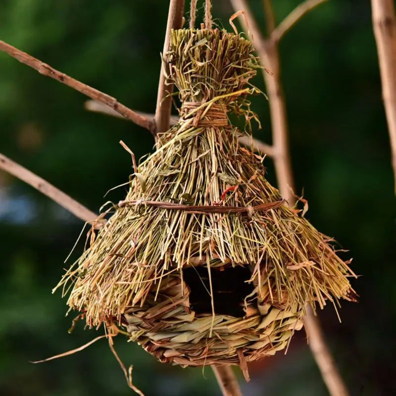 Hanging Natural Birds Nest