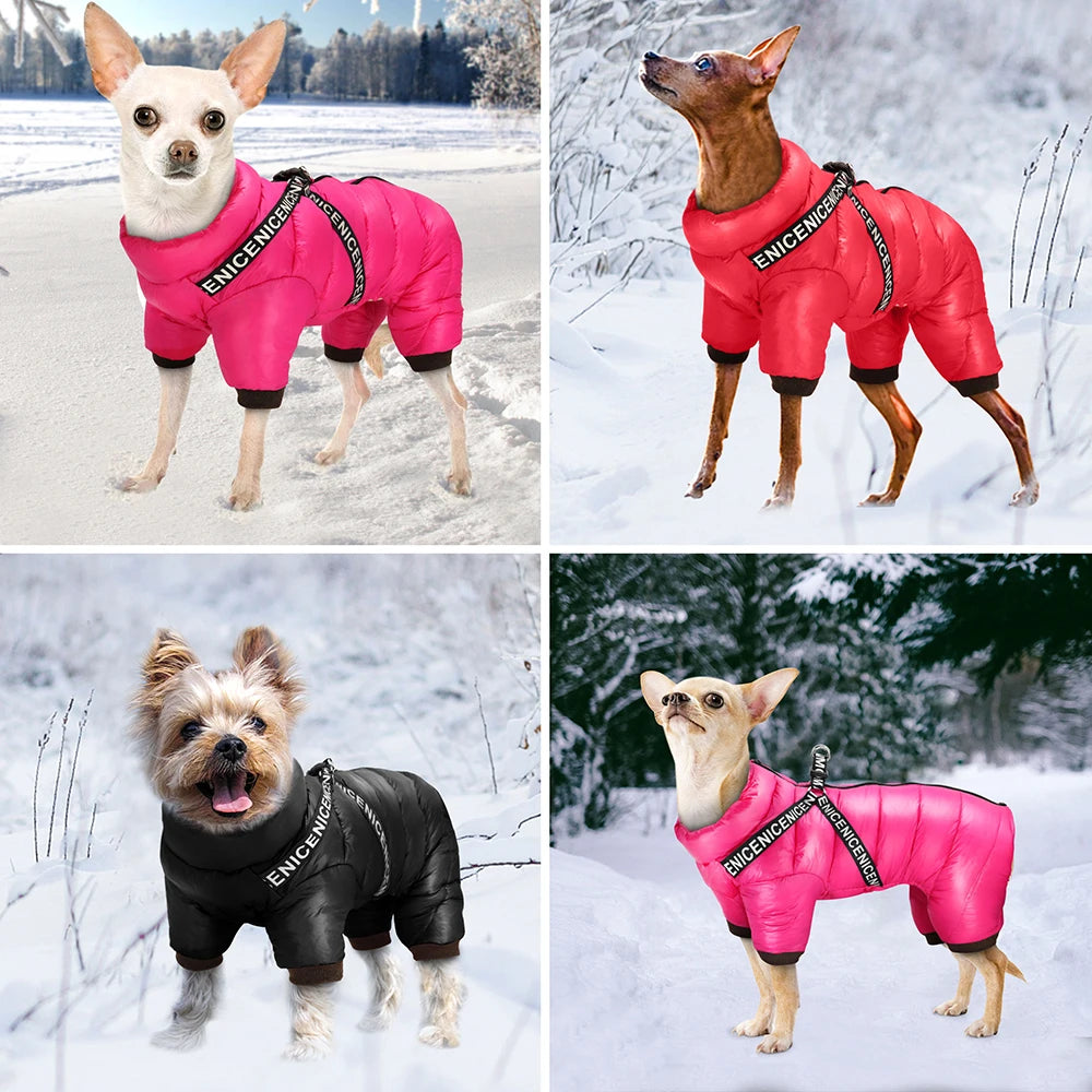 Puffy Winter Pet Coat