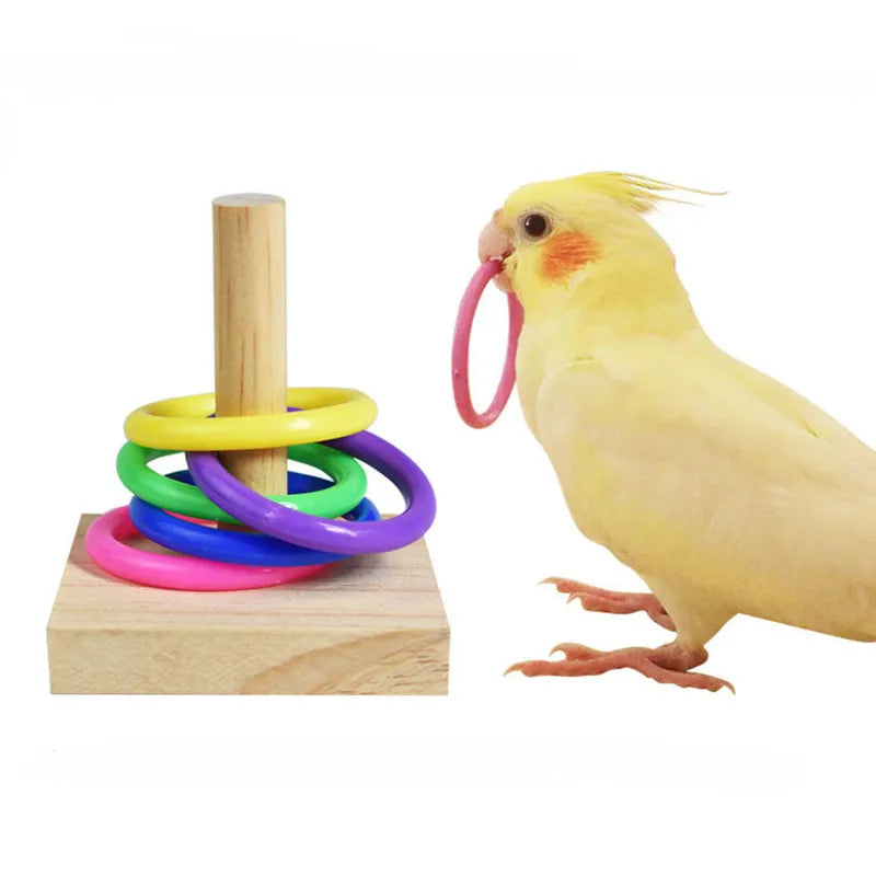 Bird Intelligence Training Rings