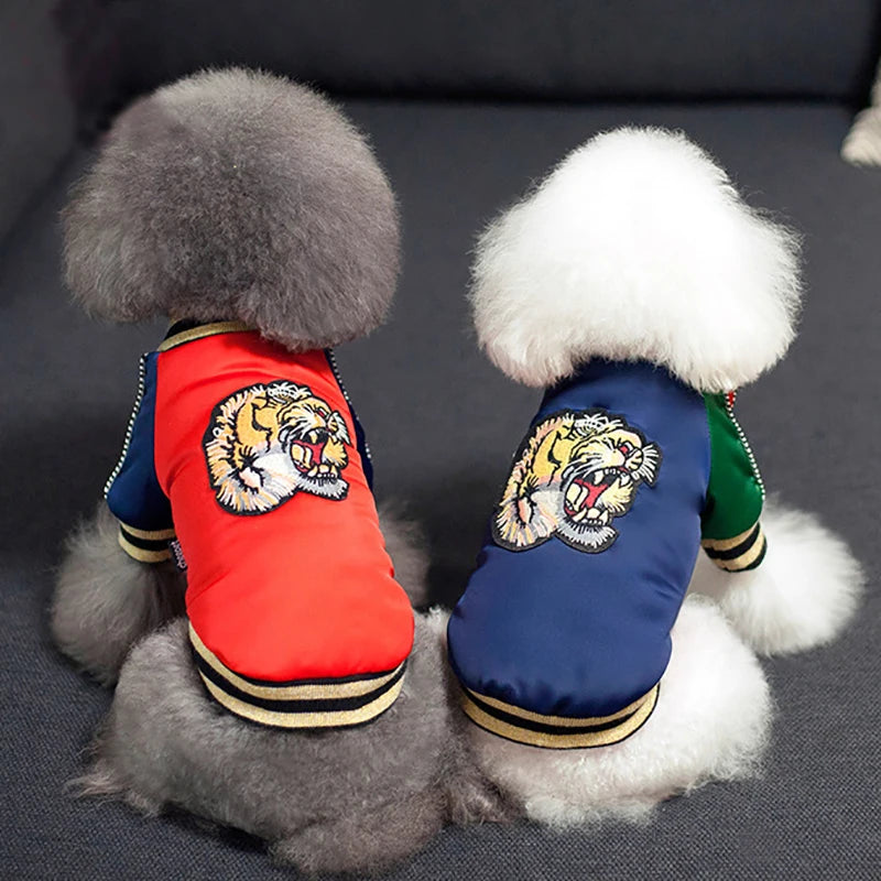 Fashion Lion Bomber Jacket